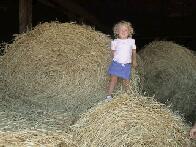 Hay For The Whole Winter...