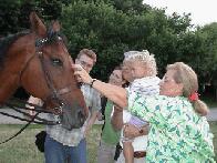 Big Police Horse...