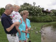 Feeding The Ducks...